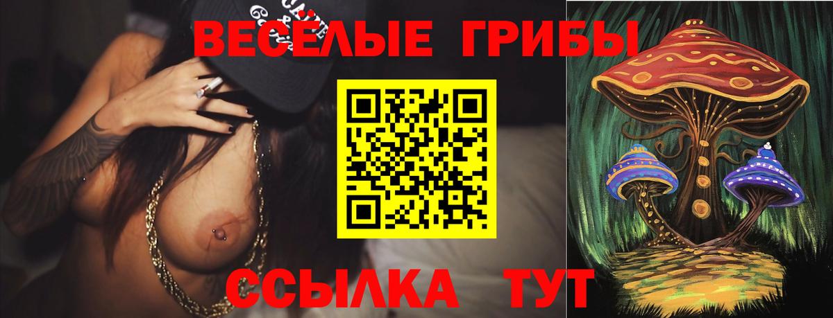Галлюциногенные грибы Cubensis Лениногорск